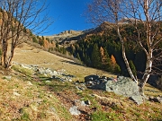 MONTE ARETE (2227 m.), sudato, ma comunque goduto, da Cambrembo di Valleve il 17 novembre 2012  - FOTOGALLERY